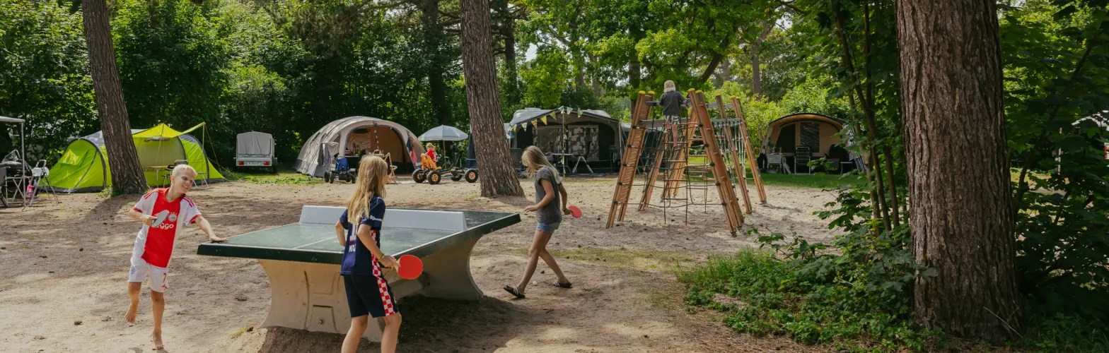 Rondje om de tafel tafeltennis kampeerplaatsen bakkum bosplaatsen