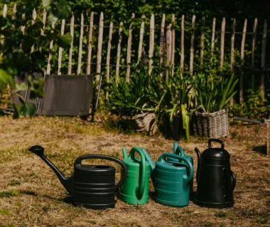 Tuin seizoenplaats