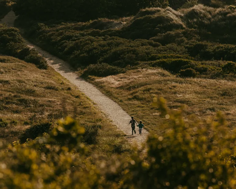 Duinen drone 3